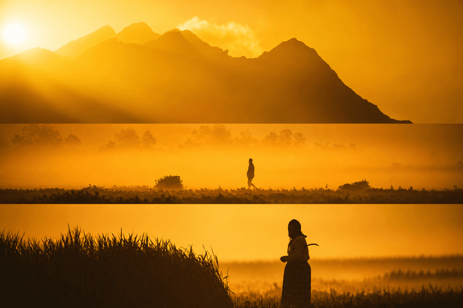 Golden hour triptych — a mountain ridge, a walker in mist, and a figure in tall grass